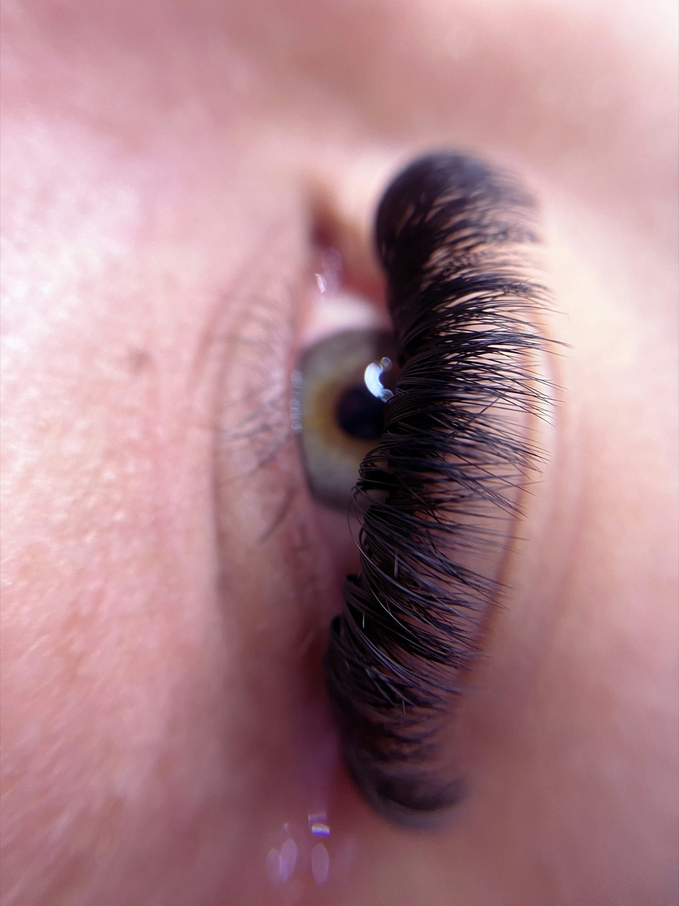 Mega volume lash extensions after the appointment